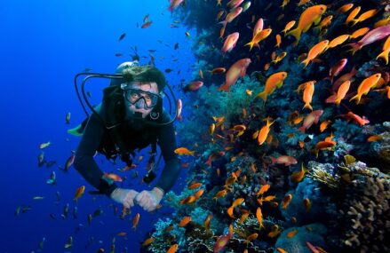 Make your Hawai trip memorable with perfect scuba driving experience